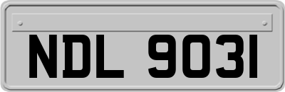 NDL9031