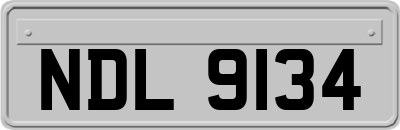 NDL9134