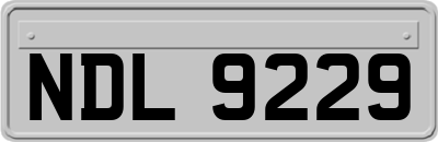 NDL9229
