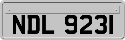 NDL9231