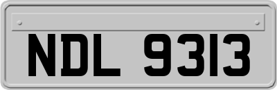 NDL9313