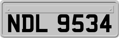 NDL9534