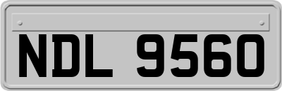 NDL9560