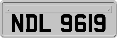 NDL9619