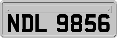 NDL9856