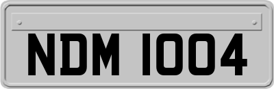NDM1004