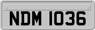 NDM1036