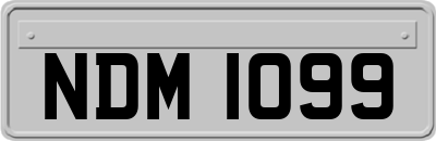 NDM1099