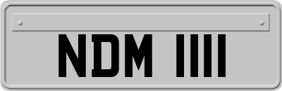 NDM1111