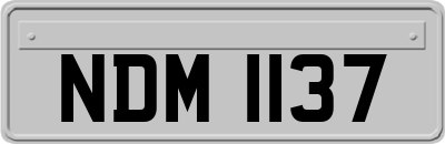 NDM1137