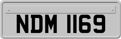 NDM1169