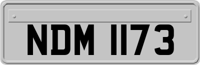 NDM1173