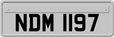 NDM1197