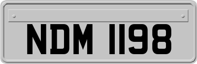 NDM1198