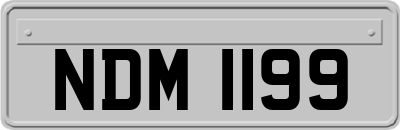 NDM1199