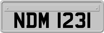 NDM1231