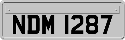 NDM1287