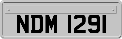 NDM1291
