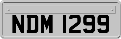 NDM1299
