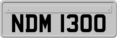 NDM1300