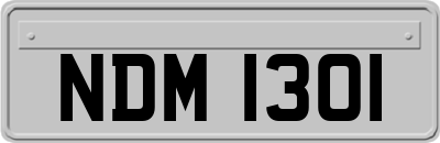 NDM1301