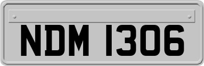 NDM1306