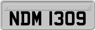 NDM1309