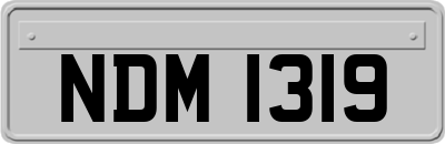 NDM1319