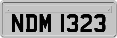 NDM1323