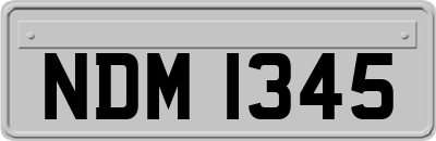 NDM1345