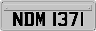 NDM1371