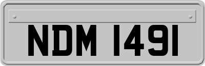NDM1491