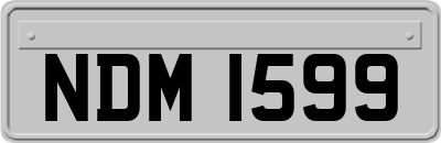 NDM1599