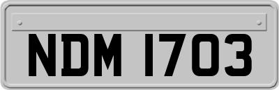 NDM1703