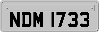 NDM1733