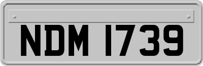 NDM1739