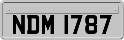 NDM1787