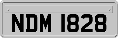 NDM1828