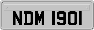 NDM1901