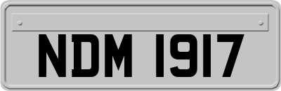 NDM1917