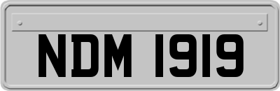 NDM1919