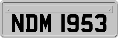 NDM1953