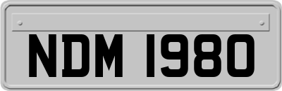 NDM1980