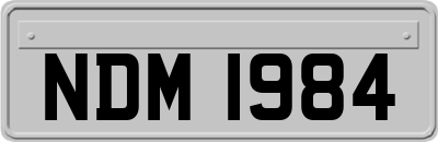 NDM1984