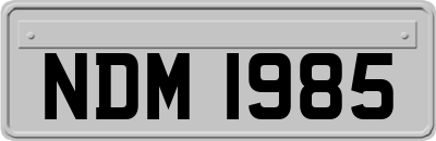 NDM1985