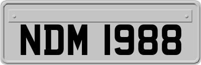 NDM1988