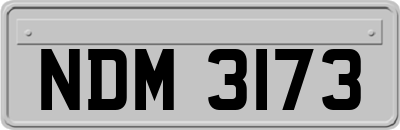 NDM3173