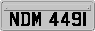 NDM4491