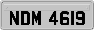 NDM4619