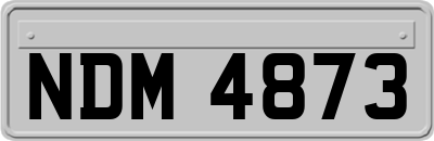 NDM4873